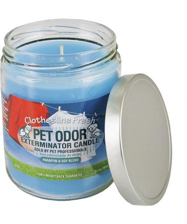 Pet Odor Exterminator Candle Set - Orange Lemon Splash and Clothesline Fresh 13oz Jars - Buy Online on GoSupps.com