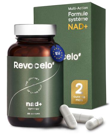 NAD+ Synergy Formule 4-en-1 300 mg de NR (puret 98%) cure 2 mois soutien de l nergie cellulaire avec TMG apig nine liposomale et vitamine C liposomale fabriqu dans l UE