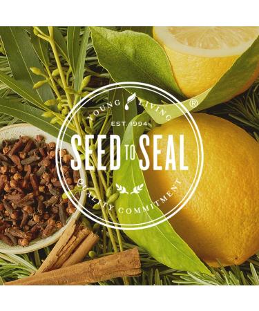 Thieves Waterless Hand Purifier 7.6 Oz with Pump | Young Living Essential Oils - Buy Online on GoSupps.com