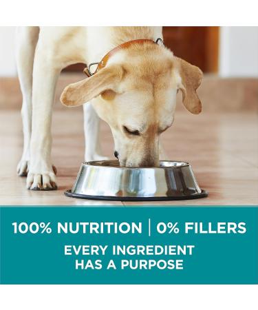 Purina ONE +Plus Large Breed Dry Dog Food with Chicken - 14 kg Bag 14 kg (Pack of 1) - Buy Online on GoSupps.com