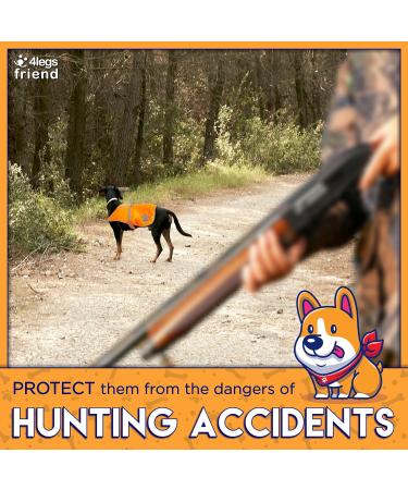 Orange Dog Safety Reflective Vest - Lightweight High Visibility for Day & Night | 5 Sizes Leash Hole & Snap Lock Buckle - Keep Your Dog Safe Outdoors - Buy Online on GoSupps.com