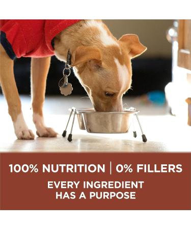 Purina ONE +Plus Dry Dog Food Healthy Weight with Turkey - 7 kg Bag - Buy Online on GoSupps.com