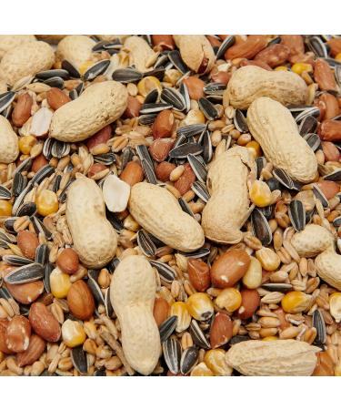 Premium Squirrel Mixture 1000g - Buy Online on GoSupps.com