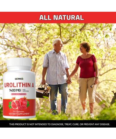 Phillauri Urolithin A+ | Urolithin a Supplement | Urolithin A Capsules for Men & Women 120 Capsules (Pack 2) - Buy Online on GoSupps.com