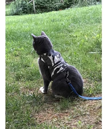 Mynwood Cat Jacket/Harness Arctic Combat Adult Cat - Buy Online on GoSupps.com