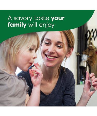 Knorr Homestyle Stock For a Flavorful Beef Stock Beef Low-Fat and MSG-Free  4 Count (Pack of 4) - Buy Online on GoSupps.com