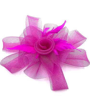 Hot Pink Fascinator Ladies Feather Beak Clip Fascinator / Headband Weddings Races Royal Ascot Hair Piece - Buy Online on GoSupps.com