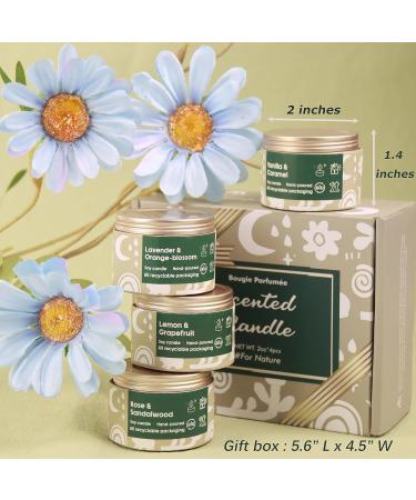 Christmas Scented Candles Gift Set | Soy Candles for Home D cor & Aromatherapy | Unique Gifts for Men & Women - Buy Online on GoSupps.com