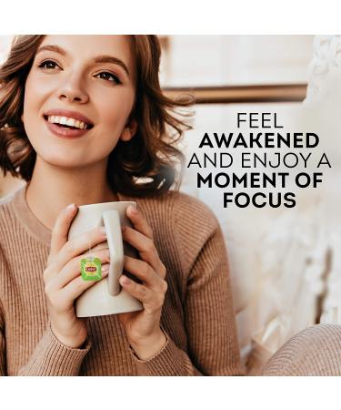Lipton Magnificent Matcha Tea Bags - 15 Count, 4 Pack Green Tea with Real Japanese Matcha - Buy Online on GoSupps.com