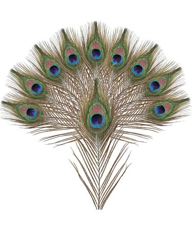 10pcs Multicolored Natural Peacock Feathers for DIY Crafts and Easter Decoration - 10-12 inch - Buy Online on GoSupps.com