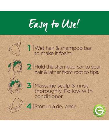 Garnier Whole Blends Honey Treasures Restoring Shampoo Bar for Dry Damaged Hair - 2 Oz Bar, 1 Count - Buy Online on GoSupps.com