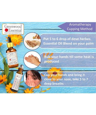 Greenwood Essential Sweetness Balance - Aromatherapy Essential Oil Blend with Cinnamon, Fennel Seed, Dill Seed & Geranium Essential Oils 10ml (0.33 oz) by Greenwood - Buy Online on GoSupps.com