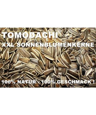 Tomodachi Chicken Food - Sunflower Seed Snacks & Daily Feed | 1kg Bucket | Premium Bird Feed - Buy Online on GoSupps.com
