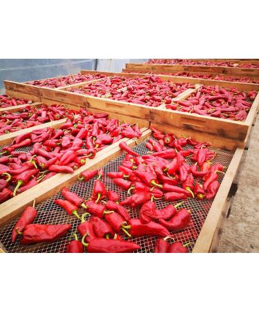 Buy Boomers Gourmet Piment d'Espelette AOP Darguy Chili Powder - 2 Pieces 100g | Authentic French Spice for International Shipping - Buy Online on GoSupps.com
