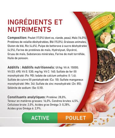 PURINA ONE Medium/Maxi 10kg Active | Chicken Rich Dry Food for Adult Dogs | 7 kg Bag - Buy Online on GoSupps.com