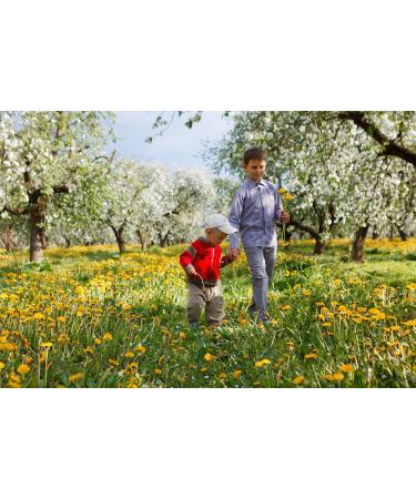 mynatura Colorful scattered fruit meadow scattered fruit meadow colorful mix grasses herbs fruit 5 x 200 g - Buy Online on GoSupps.com