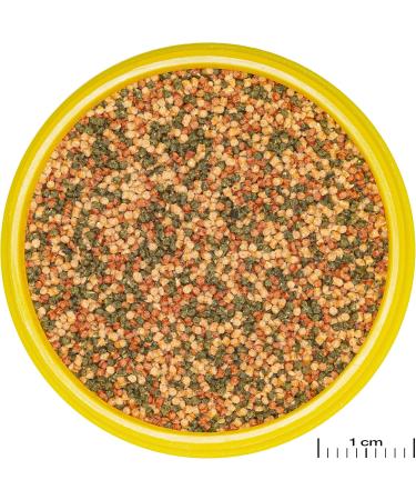 Buy JBL PRONOVO Bel Grano 1000ml & 190g - Ideal Food for 3-10 cm Fish | International Shipping - Buy Online on GoSupps.com