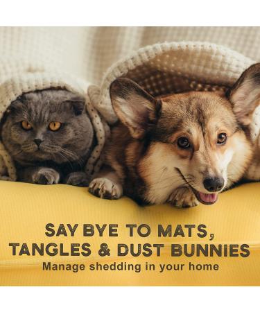 Pat Your Pet Hair Remover Glove - Effective Dog & Cat Brush for Easy Pet Grooming - Buy Online on GoSupps.com