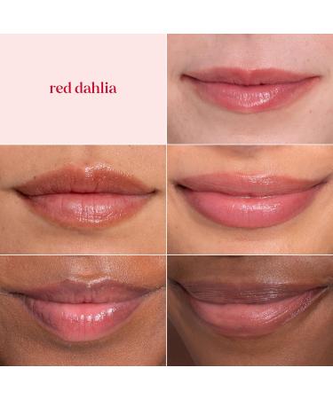 Burt's Bees Lip Tint Balm for Valentine's Day with Long Lasting 2 in 1 Duo Tinted Balm Formula Color Infused with Hydrating Shea Butter for a Natural Looking Buildable Finish Red Dahlia (1-Pack) - Buy Online on GoSupps.com