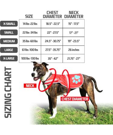 SafetyPUP XD Dog Safety Vest - Blue | Fits Dogs 14-130 lbs | X-Small to X-Small - Buy Online on GoSupps.com