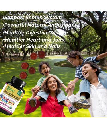 Black Seed Oil & Honey with Turmeric Gummies with BioPerine Apple Cider Vinegar Biotin Zinc & Vitamins C D3 B12 Immune Detox Energy & Hair Skin Nails Support 60 Vegan Halal Organic Gummies - Buy Online on GoSupps.com