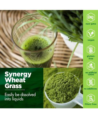 Synergy Natural Organic Wheat Grass Powder 500g - Pure and Potent Superfood - Buy Online on GoSupps.com
