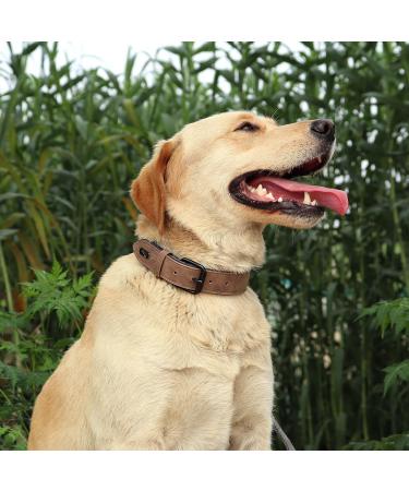 Didog Soft Padded Leather Dog Collar - Adjustable Breathable & Durable for Small to Large Dogs (Brown L 33-40 cm) - Buy Online on GoSupps.com