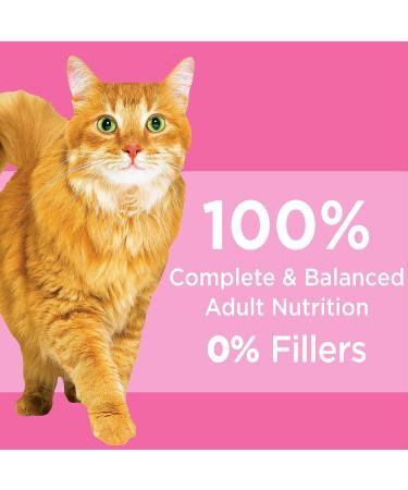 IAMS Proactive Health Dry Cat Food Adult Sensitive Digestion & Skin Turkey 2.72kg Bag & Proactive Health Dry Cat Food Adult - Indoor Weight & Hairball Care - Chicken & Turkey 3.18kg Bag 2.72 kg (Pack of 1) Cat Food+ Dry Cat Food 3.18kg - Buy Online on GoSupps.com
