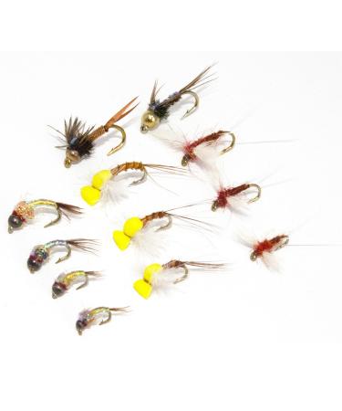 12 Favorite Fly Fishing Flies Assortment | Dry, Wet, Nymphs, Streamers, Wooly Buggers, Caddis | Trout, Bass Fishing Lure 12 Nymph Flies