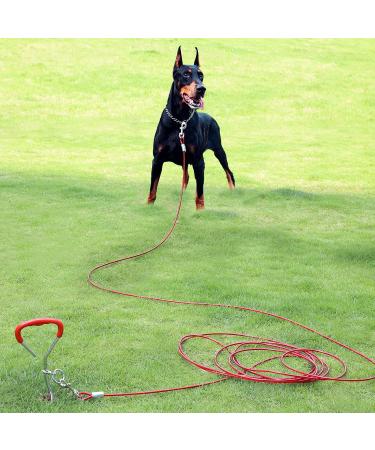 EFUTURTETIME Plution for Dishes Lice & 9m Dog Leash - Durable Base Piral Dog Floor Anchor for Outdoor Camping & Farm Use - Perfect for Small to Large Dogs - Buy Online on GoSupps.com