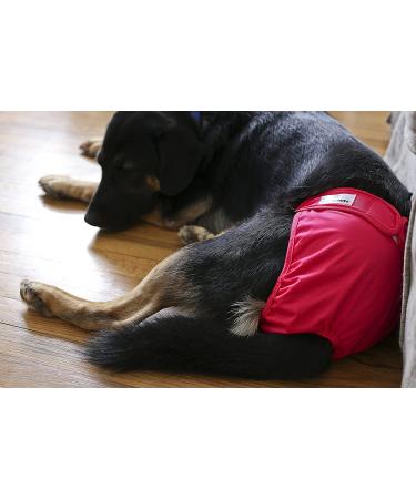Washable Dog Diapers (3 Pack) for Large Dogs - Premium Durable Female Doggie Diapers - Buy Online on GoSupps.com