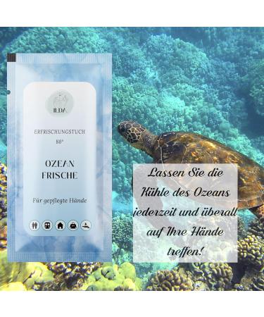 100 Individually Packaged Wet Wipes - Hygienic Travel Towels for Sports Hotels & Catering | OCEAN Direct Manufacturer - Buy Online on GoSupps.com