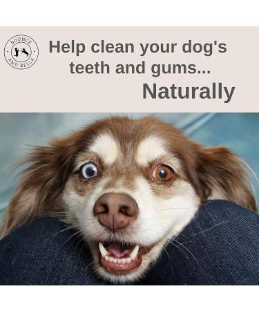 Bounce and Bella Chicken Beef Green Tea Dog Sticks | Natural Healthy Treats | 5 Pack for Dogs & Puppies (8 Weeks+) - Buy Online on GoSupps.com