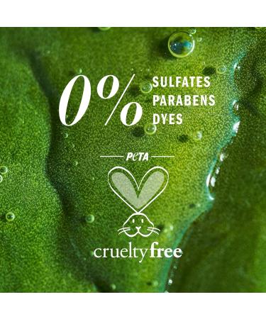Herbal Essences Pure Plants Jojoba Oil Sulfate Free Conditioner Made for Air Drying Smoothing with Certified Camellia Oil and Aloe Vera For All Hair Types Especially Frizzy Hair 400 mL Unscented 400 ml (Pack of 1) - Buy Online on GoSupps.com
