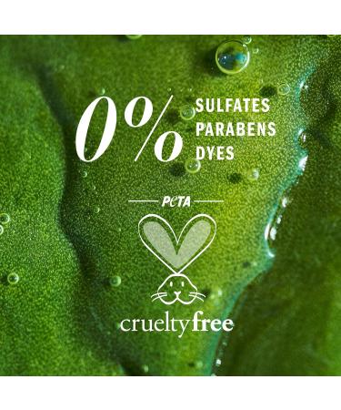 Herbal Essences Pure Plants Honey Daily Moisture Sulfate Free Conditioner Protects and Nourishes Dry Hair with Certified Camellia Oil and Aloe Vera For All Hair Types Especially Dry Hair 400 mL Conditioner 400 ml (Pack of 1) - Buy Online on GoSupps.com