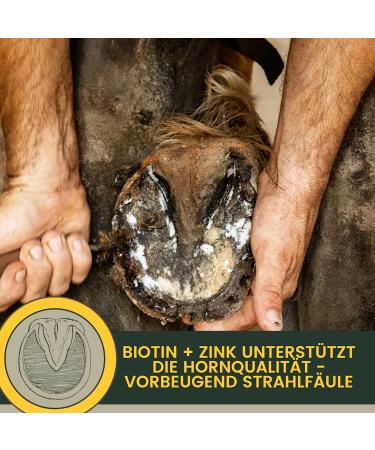 Biotin + Zinc Horse 1Kg - Mineral feed in case of hoof problems biotin & Zinc I Hoof treatment with methionine Zinc b - Buy Online on GoSupps.com