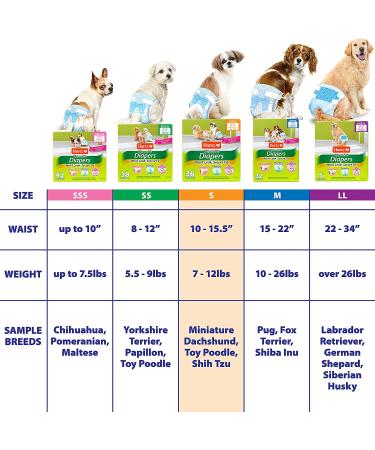 Hartz Disposable Dog Diapers - Adjustable Tail Hole, Leak Proof Protection | Multiple Sizes S - 36 Diapers - Buy Online on GoSupps.com