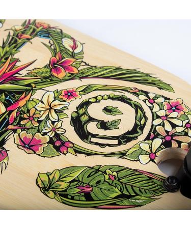Sector 9 Drop Through Longboard 36 Multicoloured Complete - Buy Online Now - Buy Online on GoSupps.com