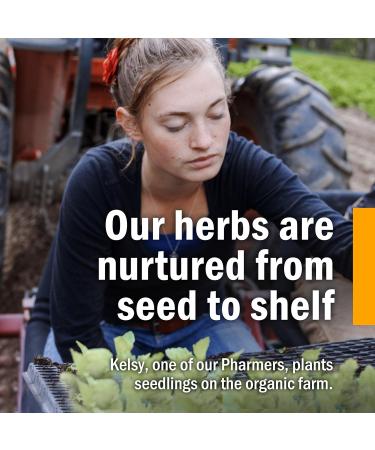 Herb Pharm Organic Skullcap Liquid Extract - Nervous System Support - 1oz - Buy Online on GoSupps.com