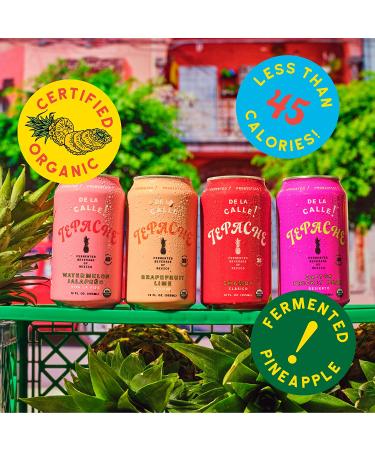 De La Calle Tepache - Certified Organic Pineapple Beverage, Naturally Fermented, Antioxidant Rich, Low Sugar - Nueva Variety Pack - Buy Online on GoSupps.com