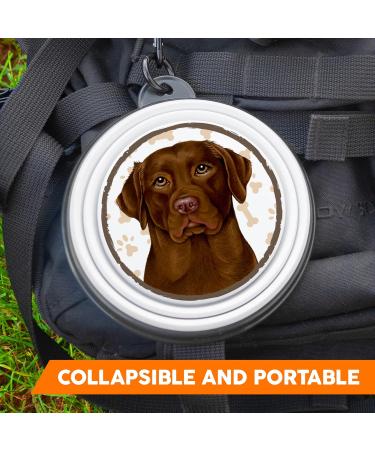 Portable Brown Labrador Dog Bowl - Foldable Drinking Bowl with Carabiners | Unique & Handy Travel Pet Accessory - Buy Online on GoSupps.com