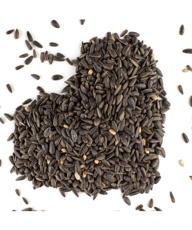 5kg Black Sunflower Seeds Wild Bird Food Sunflowers in Bucket (5kg) - Buy Online on GoSupps.com