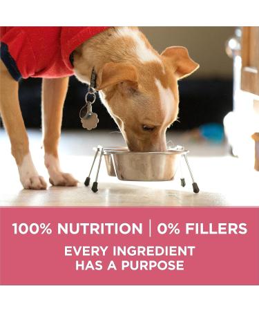 Purina ONE +Plus Dry Dog Food Digestive Health with Chicken - 5.4 kg Bag 5.4 kg (Pack of 1) - Buy Online on GoSupps.com