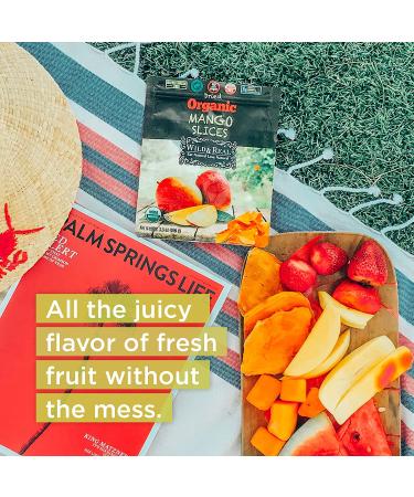 Organic Sun Dried Mangos 3.5oz (Pack of 6) | Kosher & Non-GMO - Buy Now! - Buy Online on GoSupps.com