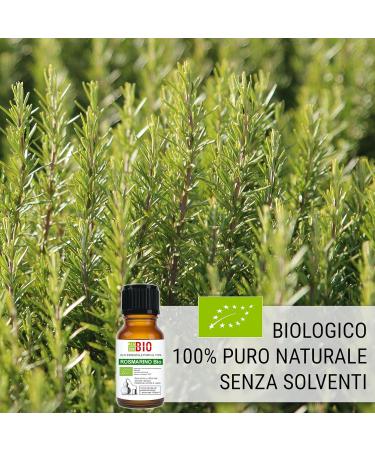 Organic Rosemary Oil 100% Pure - 30ml Essential Oil for Aromatherapy & Cosmetic Use | Laboratory Tested - Buy Online on GoSupps.com