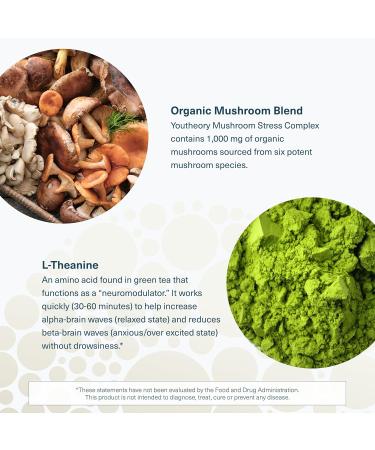 Youtheory Mushroom Stress Complex Organic Full-Spectrum Mushrrom with L-Theanine Help Reduce Stress and Promotes Mental Calmness 60 Vegetarian Capsules - Buy Online on GoSupps.com