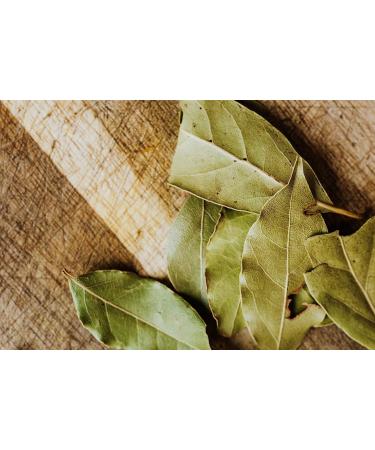 Dried Bay Leaves 20g - Authentic Indian Curry Spice for Biryani, Curries, Rice & Snacks | Harry Harvey - Buy Online on GoSupps.com
