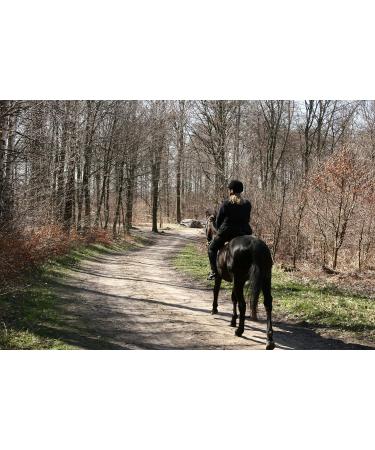 "BE COOL" COOKIES for a "Chilled Out" CALMER COOLER Horse - With Ashwagandha and B Vitamins - Buy Online on GoSupps.com
