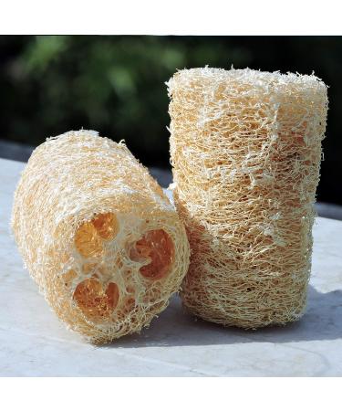 Organic Loofa Bath Sponge Set - 2 Exfoliating Scrubbers | Naturally Grown Loofah - HealthGoodsIn - Buy Online on GoSupps.com