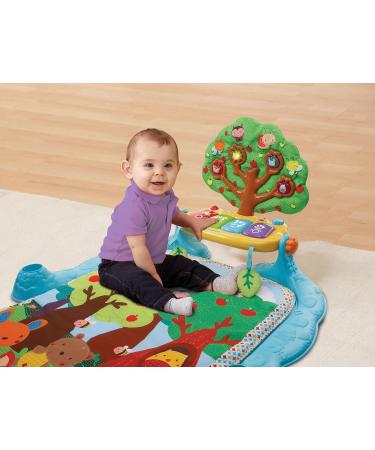 VTech Baby Music Cover - Colorful Play Gym with 4 Removable Elements & Piano - Ideal for Infants 0-24 Months - Buy Online on GoSupps.com